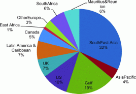 pie chart of Indian diaspora distribution around the world