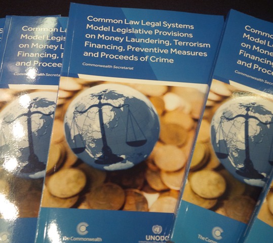 Common law legal systems model legal provisions book