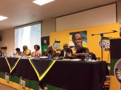 Anc National Executive Committee