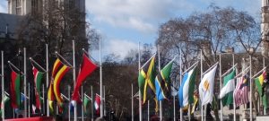 Commonwealth flags in London