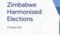 Research Article: Election observer missions, linguistic shifts and methodological evolutions. picture shows report cover