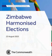 Research Article: Election observer missions, linguistic shifts and methodological evolutions. picture shows report cover